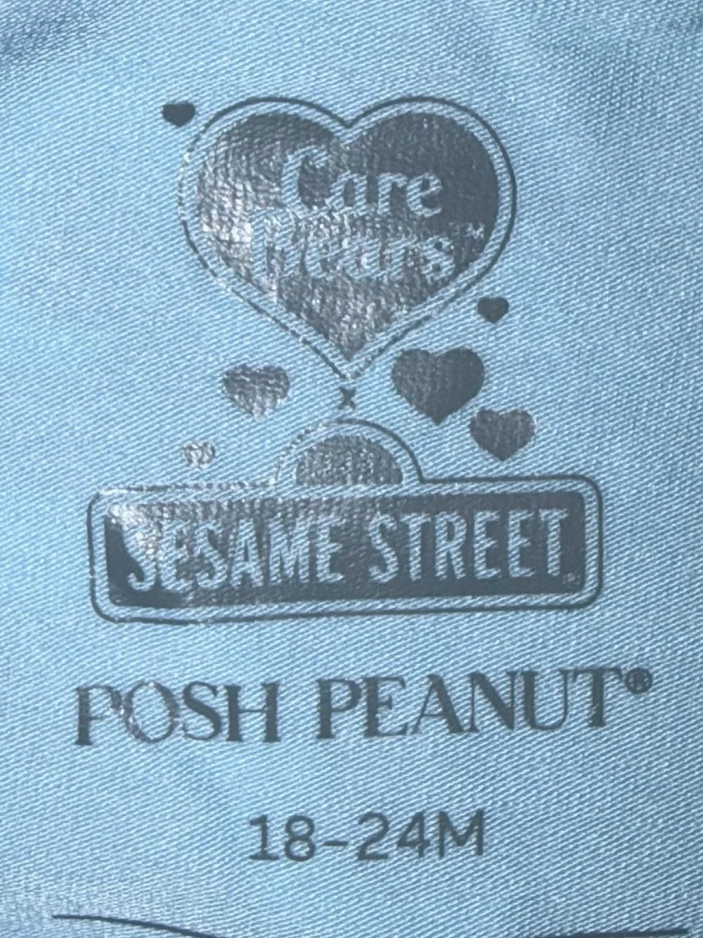 Posh Peanut X Care Bears X Sesame St bamboo shirt & shorts sz 18-24 Mo NWT